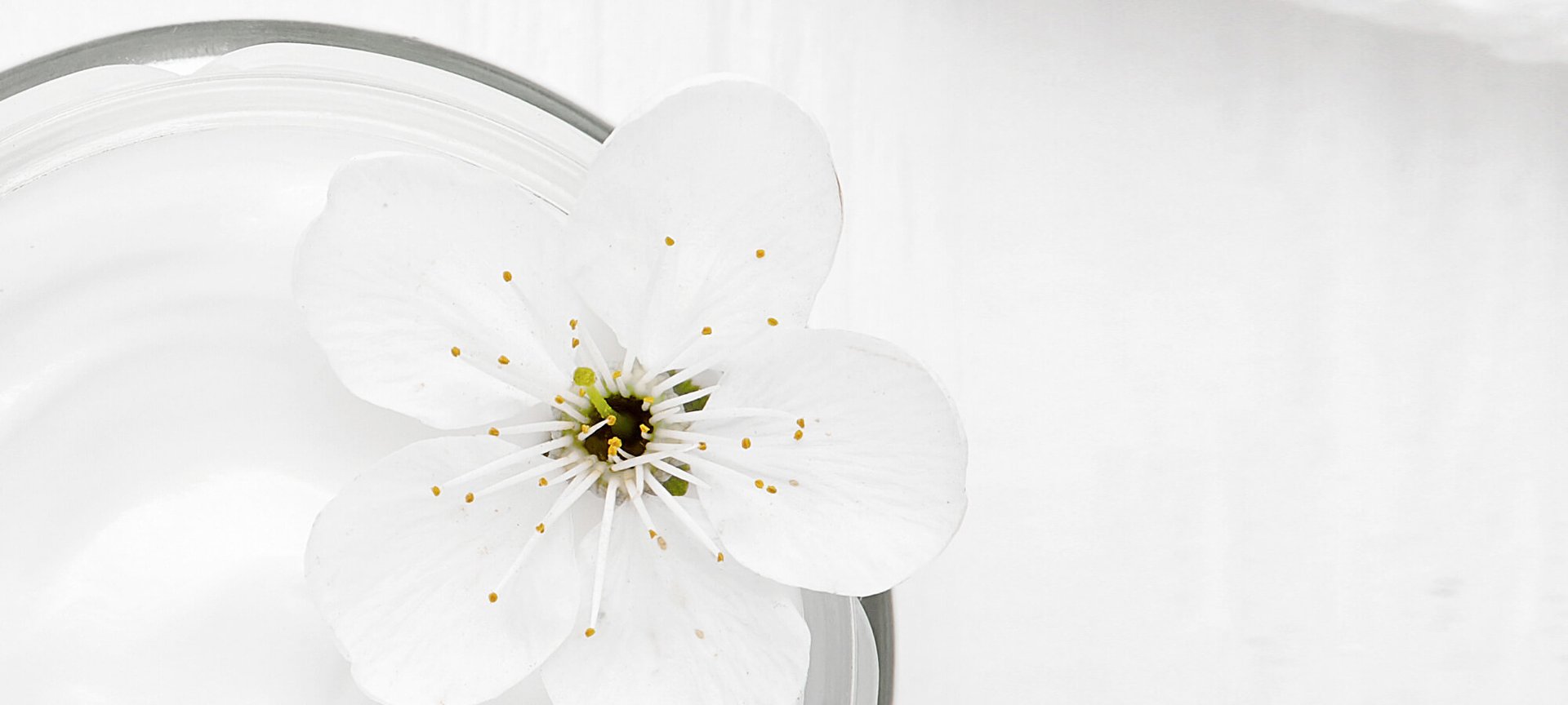 Làm thế nào để chọn đúng loại kem dưỡng da ban ngày hoàn hảo Bài viết