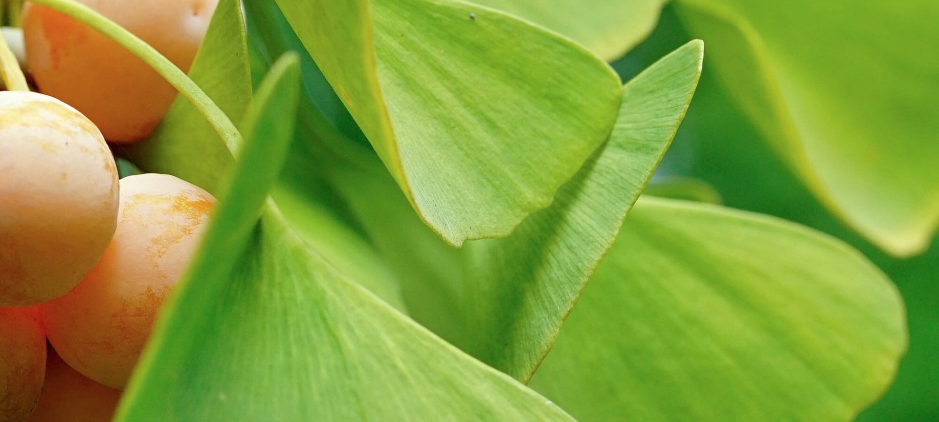 Hết sạch sữa rửa mặt? Đừng lo lắng, chỉ cần làm theo các mẹo làm sạch sau Hero