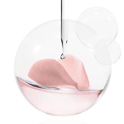 POLYPHENOL TỪ HOA MẪU ĐƠN