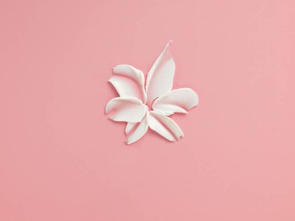 Thuốc nhuộm tóc Excellence Creme Core Kết cấu